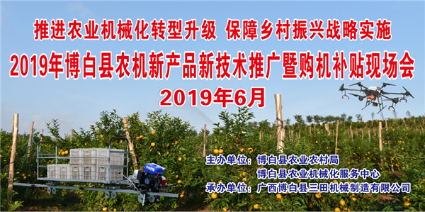 LOL赛事投注